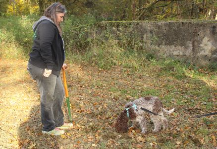 Truffle Course November 2021