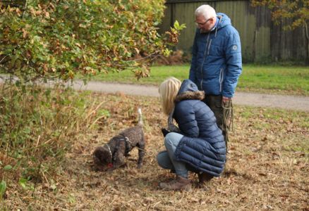 Truffle Course November 2021
