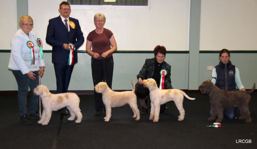 SHOWING Breed Show Oct 2016