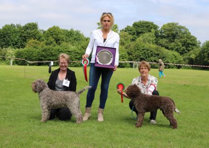 SHOWING Open Show June 2018
