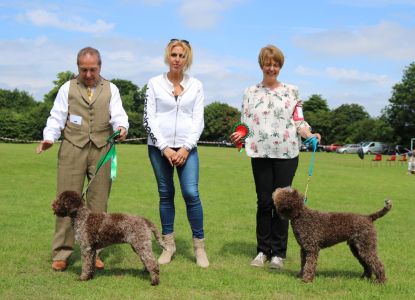 SHOWING Open Show June 2018