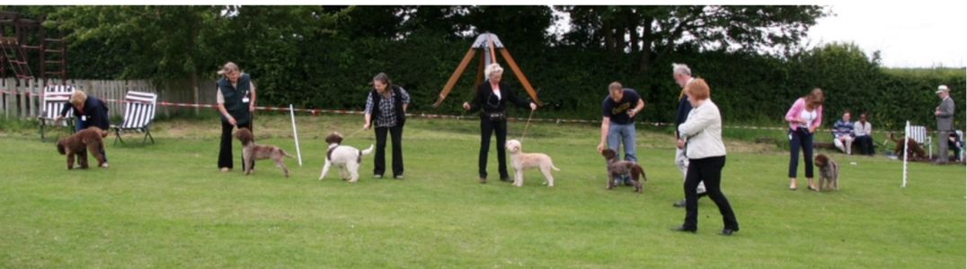 SHOWING Breed Speciality 2012