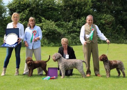 KC Single Breed Open Show June 2018