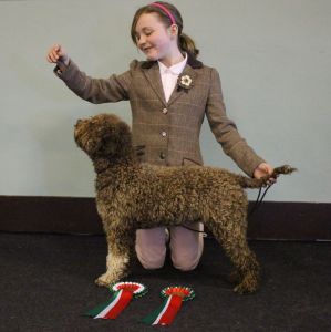 Peggy (Nelbekio Be It Bambalina) - RBIS, LRCGB Single Breed Open Show - October 2017